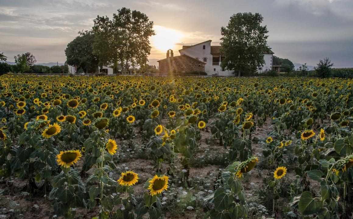 Photo of Outdoor in Vilobi d'Onyar