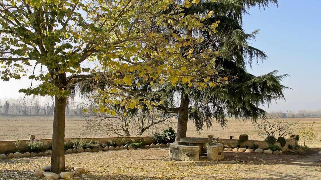 Photo of Outdoor in Vilobi d'Onyar