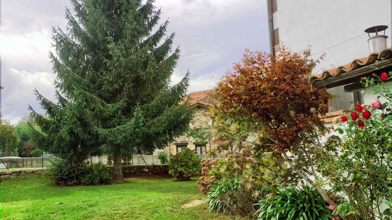 Photo of Outdoor in Ucieda de Abajo