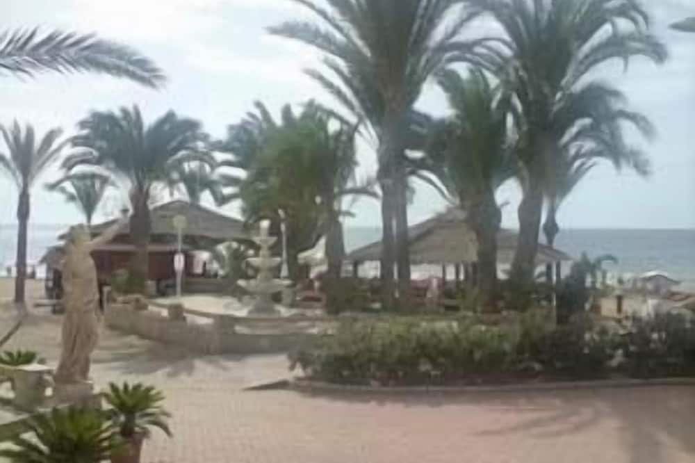 Photo of Others in San Juan de los Terreros