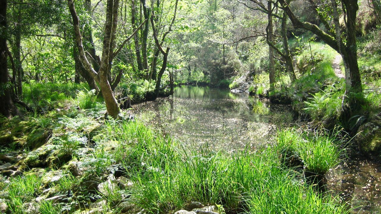 Photo of Outdoor in Carino