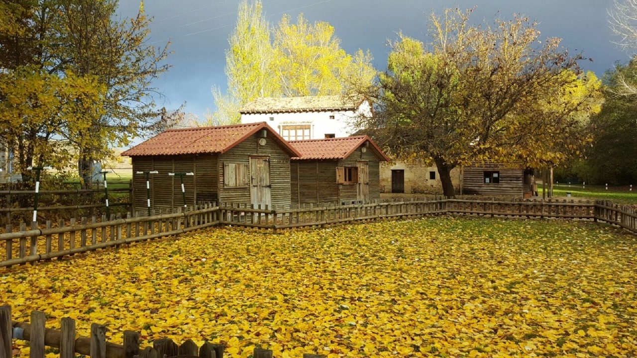 Photo of Outdoor in Ciguenza