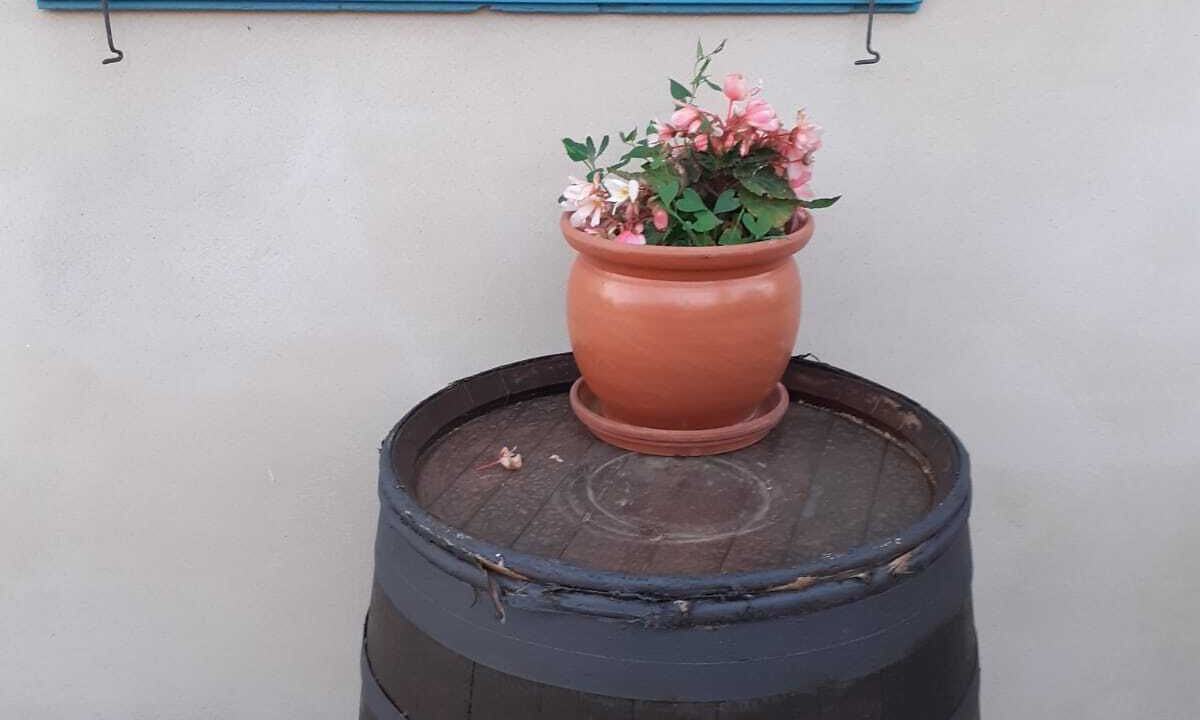 Photo of Outdoor in A Teixeira