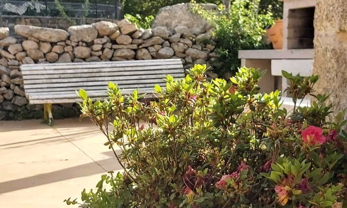 Photo of Outdoor in A Teixeira
