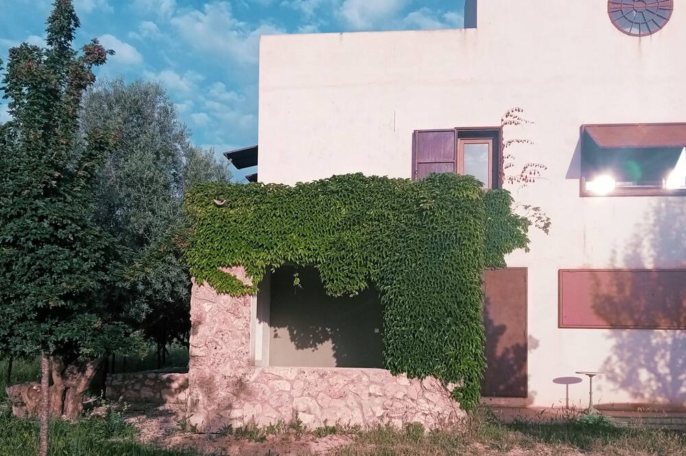 Photo of Outdoor in Moratalla