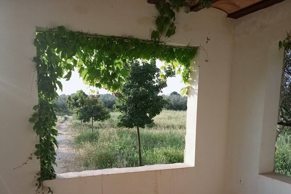 Photo of Others in Moratalla