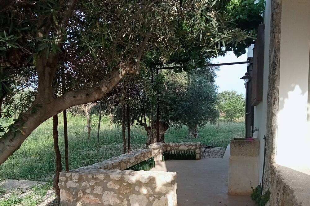 Photo of Outdoor in Moratalla