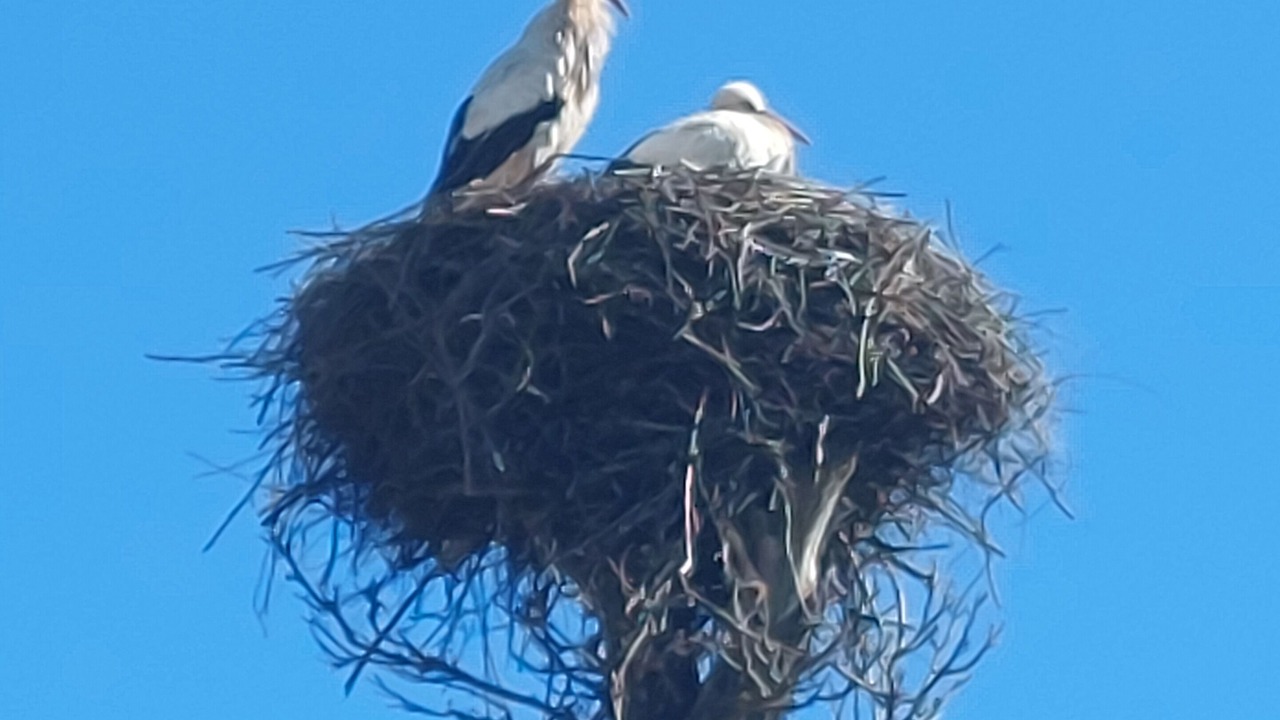 Photo of Others in Llanaves de la Reina