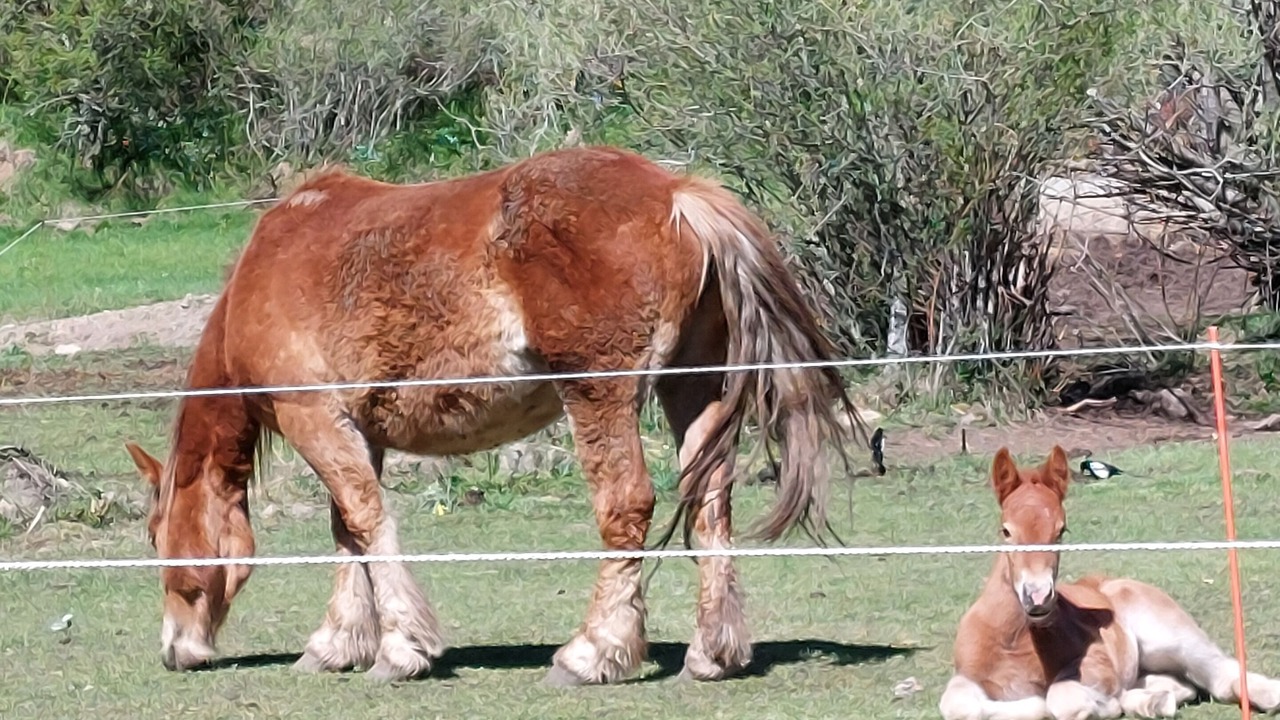 Photo of Others in Llanaves de la Reina
