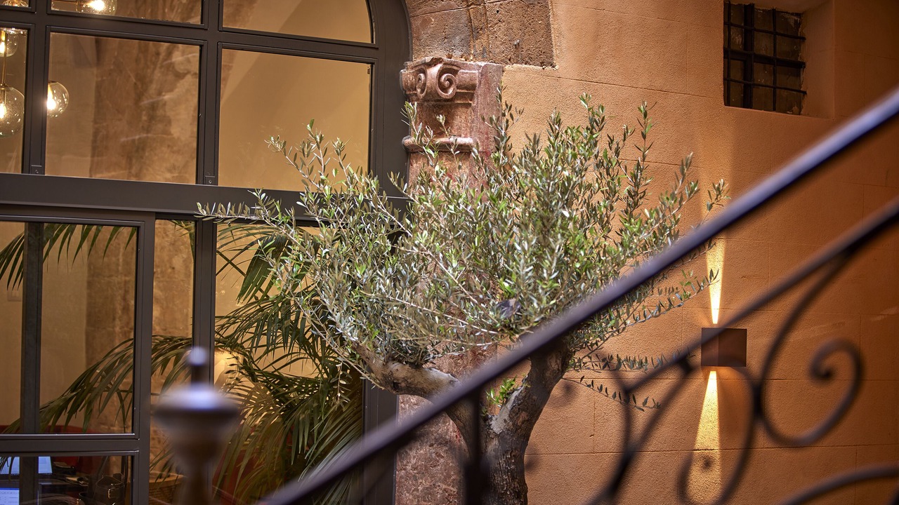 Photo of Outdoor in La Llotja-Born
