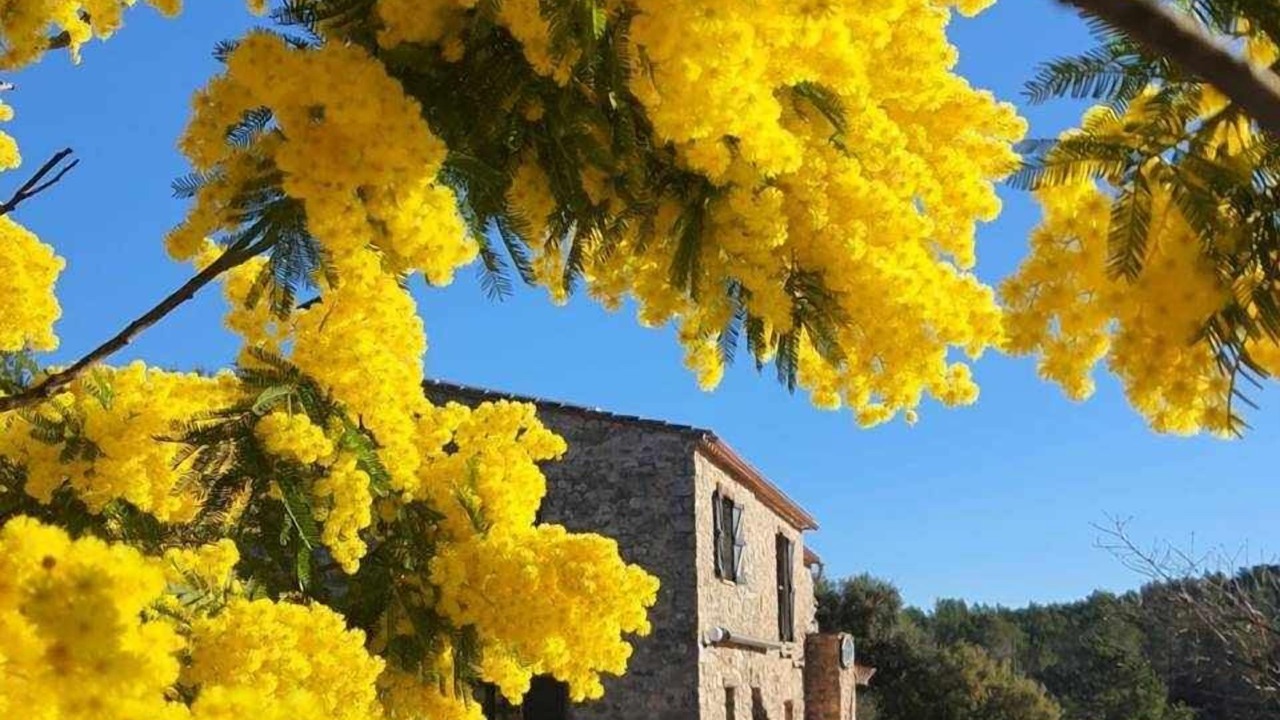 Photo of Outdoor in Terrades