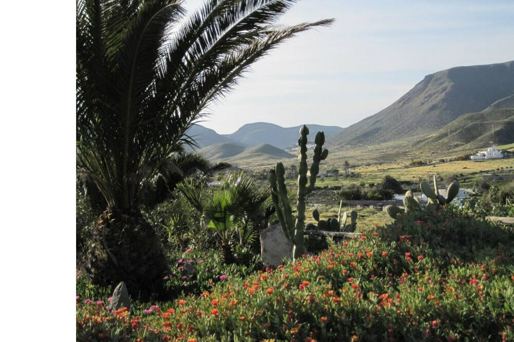 Photo of Outdoor in Los Escullos