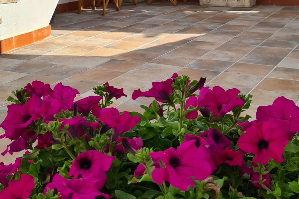 Photo of Outdoor in Llagostera
