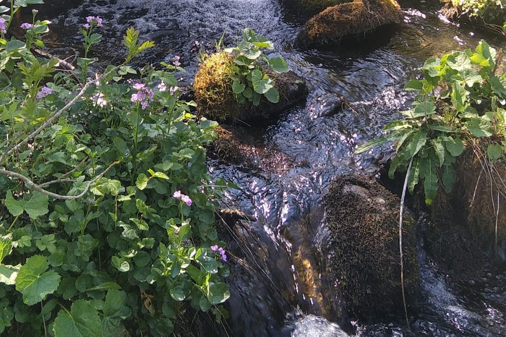 Photo of Outdoor in Geras