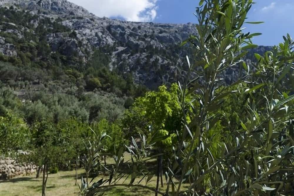Photo of Outdoor in Fornalutx