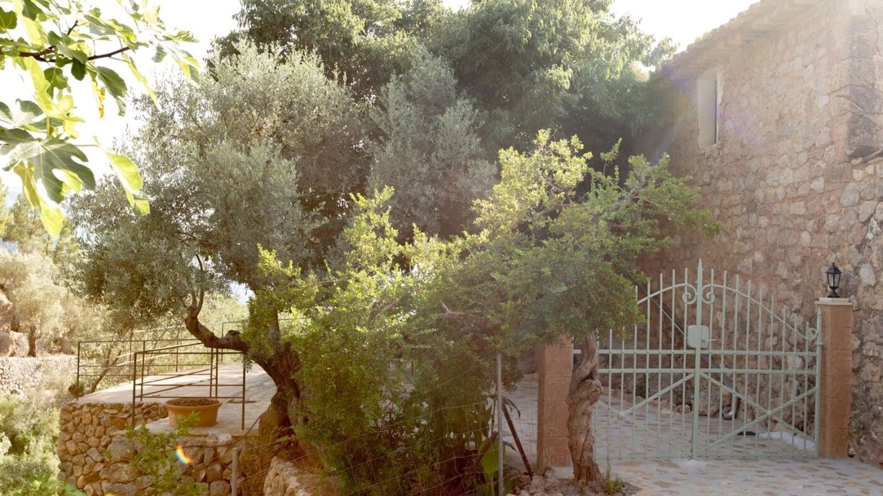 Photo of Outdoor in Fornalutx