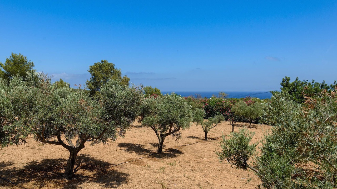 Photo of Outdoor in Santa Eulalia del Rio