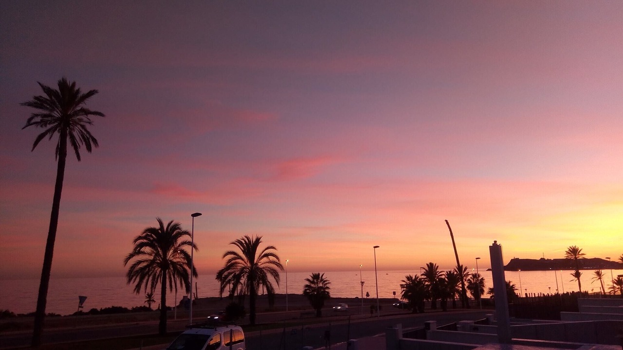 Photo of Others in Puerto de Mazarron