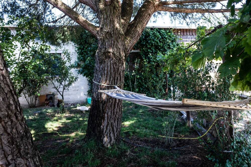 Photo of Outdoor in Vitigudino