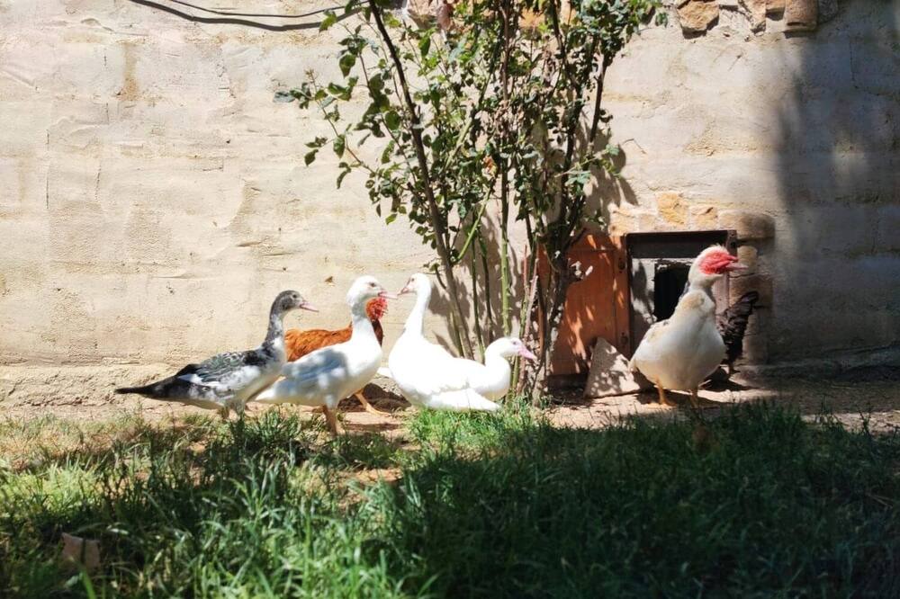 Photo of Outdoor in Vitigudino