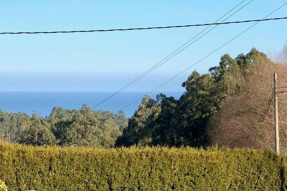 Photo of Others in O Vicedo