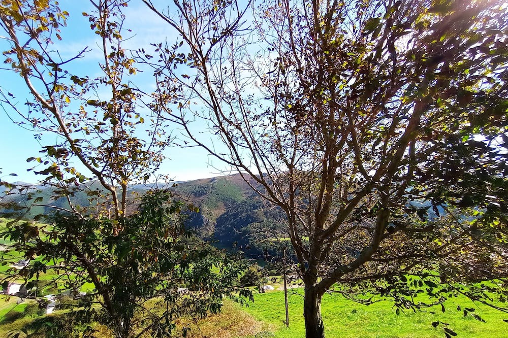 Photo of Outdoor in Prelo