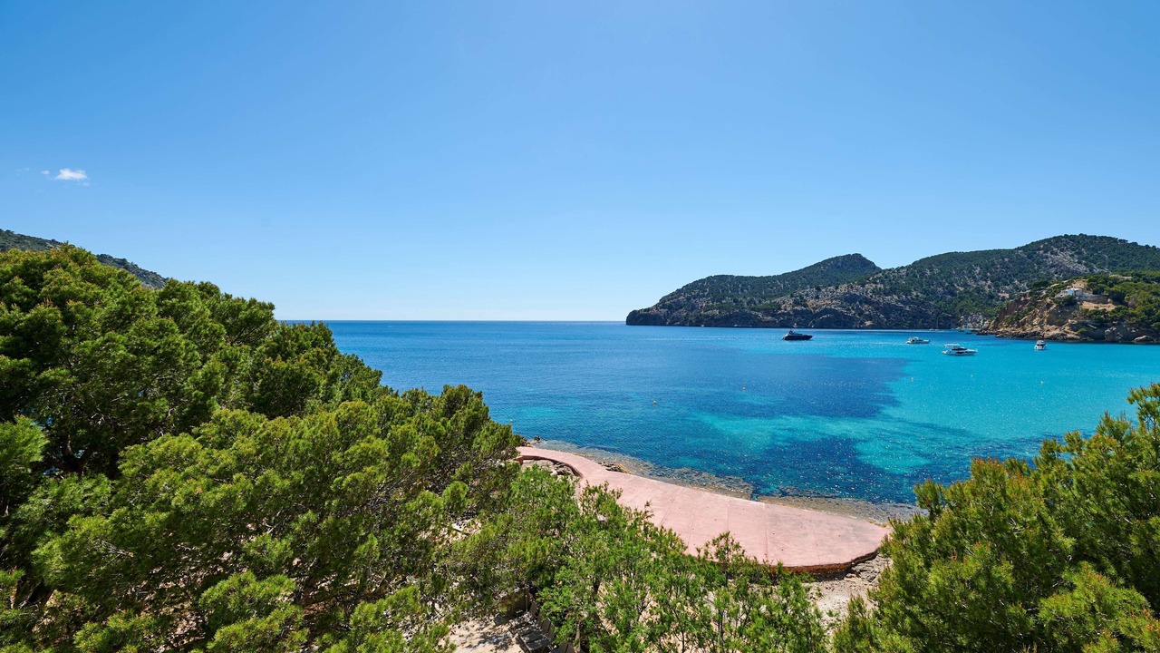 Photo of Others in Camp de Mar