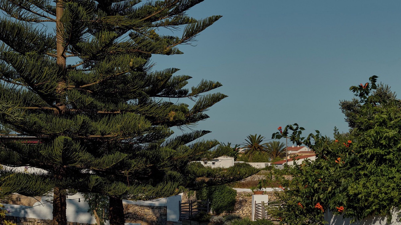 Photo of Outdoor in Es Castell