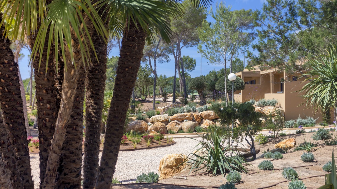 Photo of Outdoor in Sant Francesc Xavier