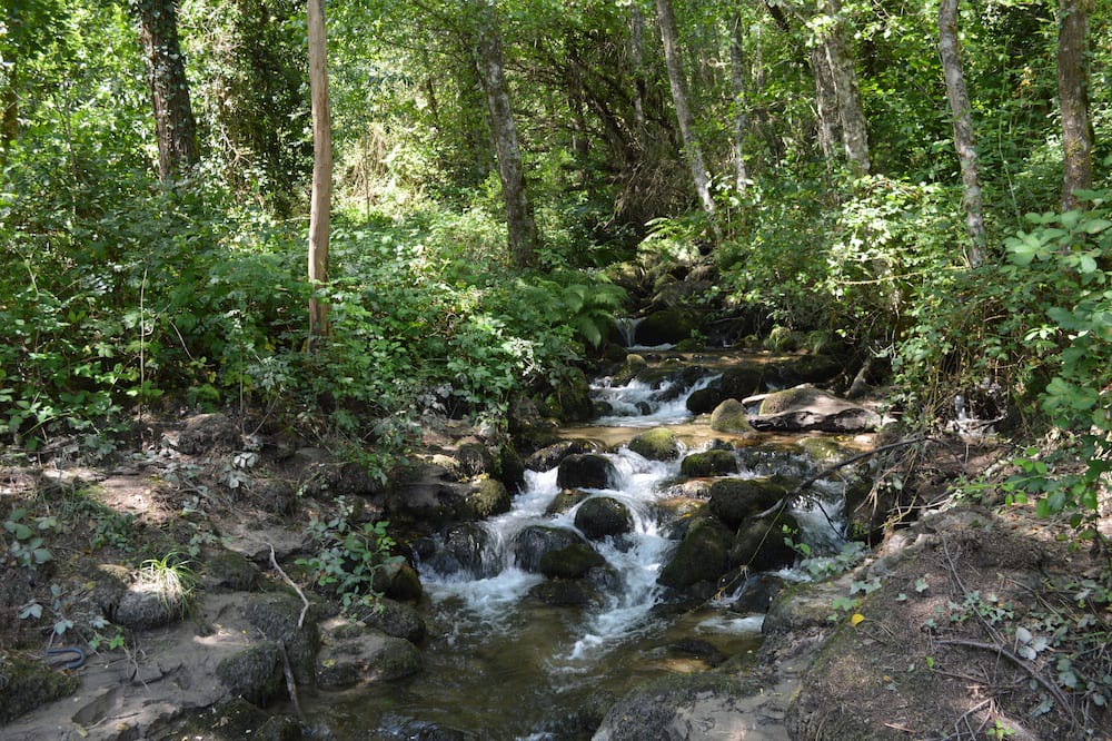 Photo of Outdoor in Rabacallos