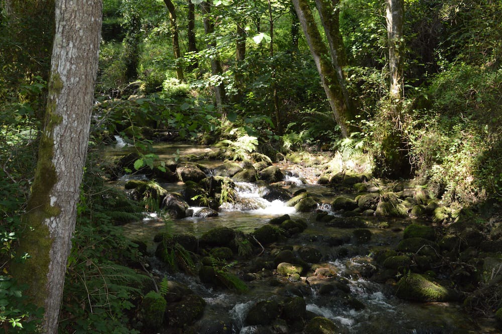 Photo of Outdoor in Rabacallos