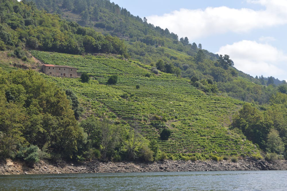 Photo of Outdoor in Rabacallos