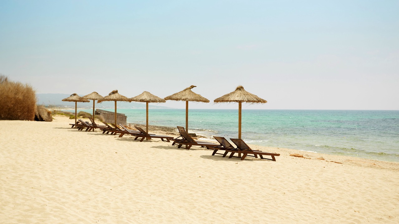 Photo of Others in Formentera