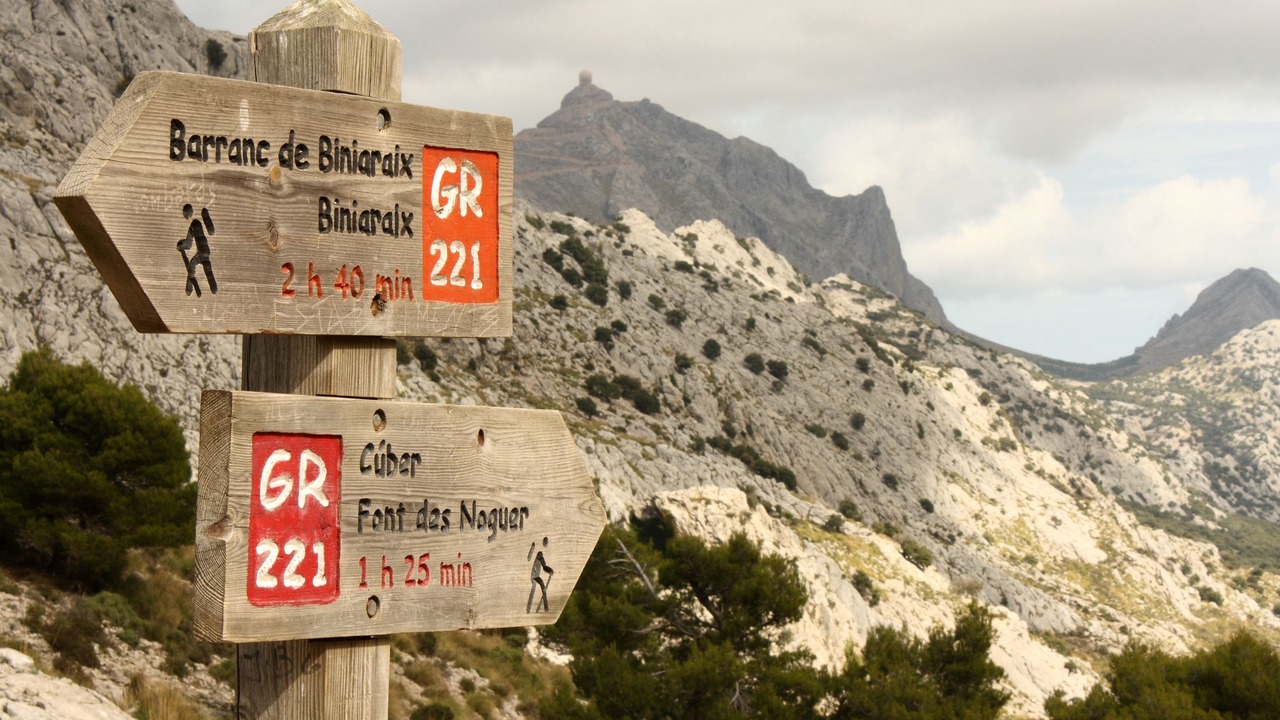 Photo of Outdoor in Calvia