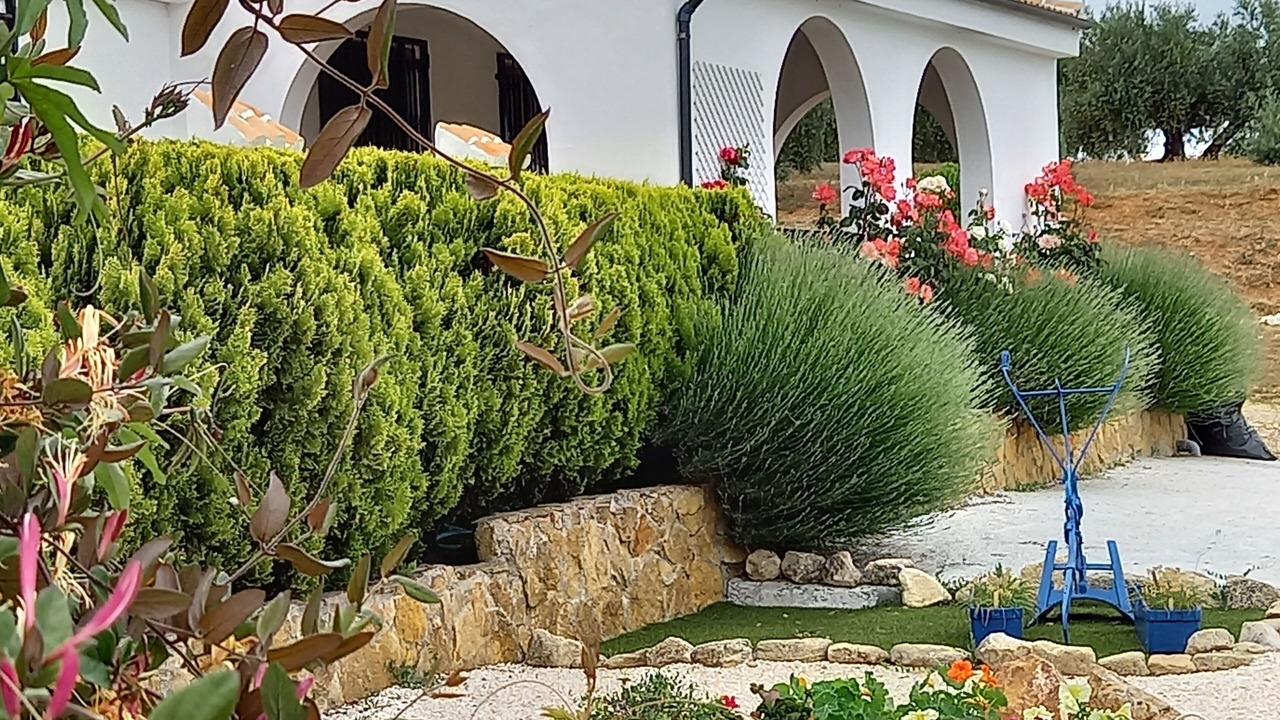 Photo of Outdoor in Alcala la Real