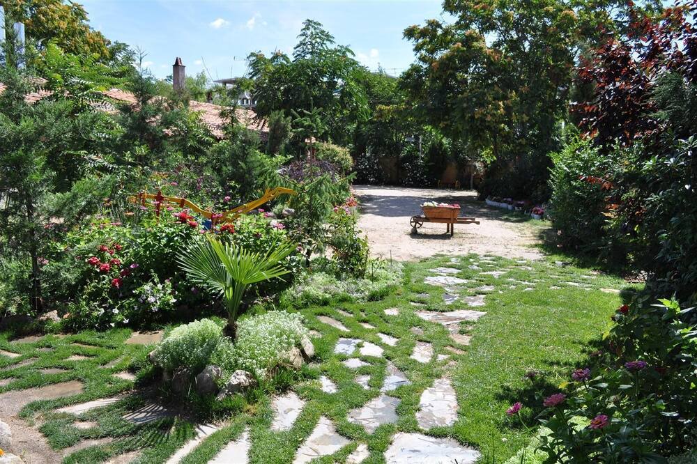 Photo of Outdoor in Olmedo