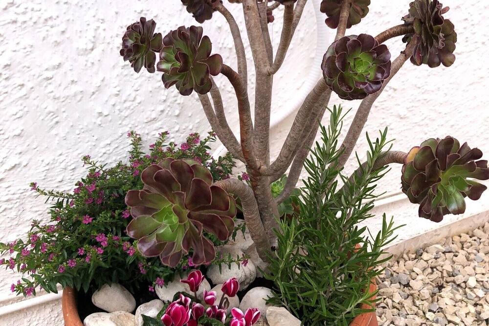 Photo of Outdoor in Benissa Coast