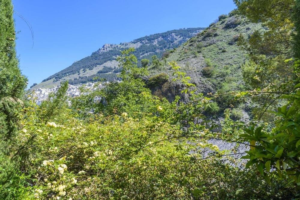 Photo of Outdoor in Torres