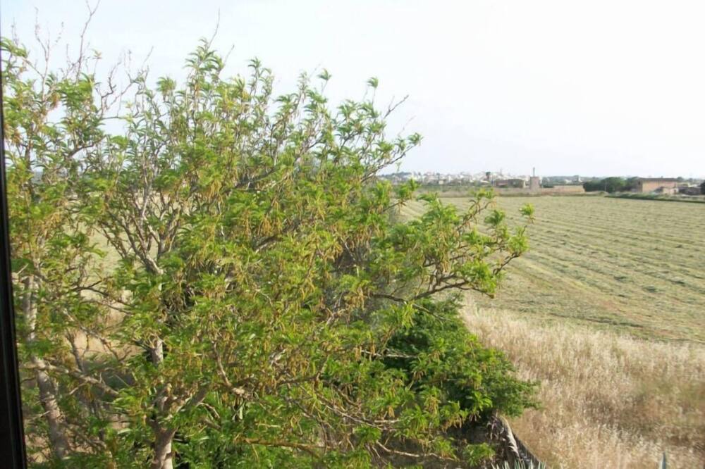 Photo of Outdoor in Es Figueral