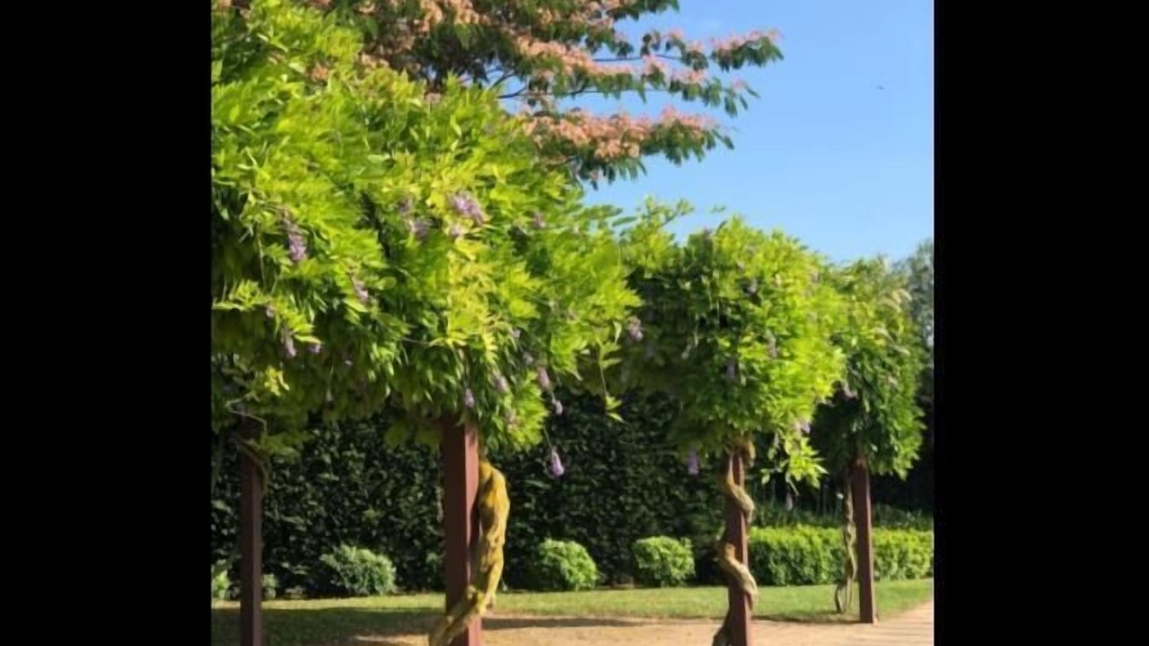 Photo of Outdoor in Albons