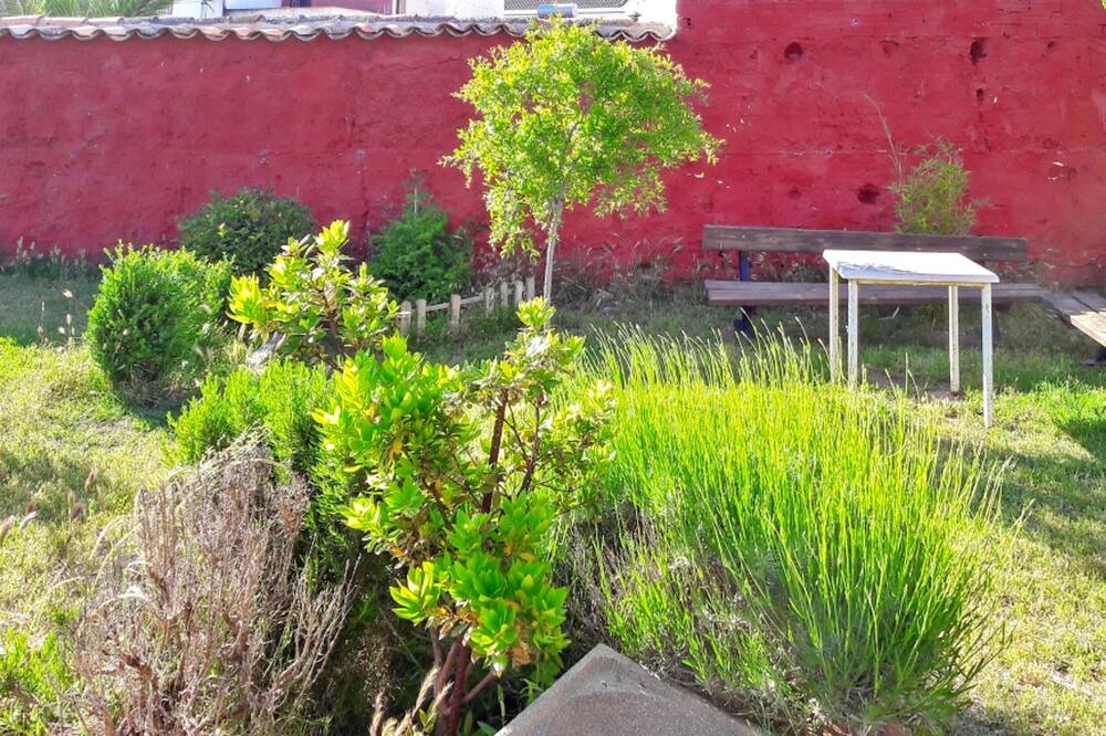 Photo of Outdoor in Picon