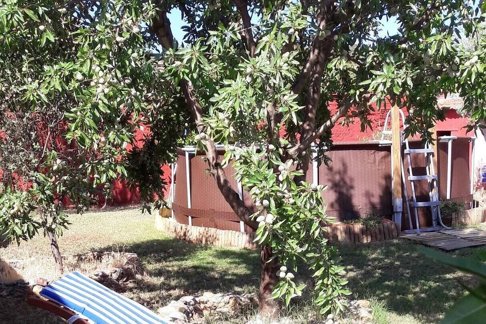 Photo of Outdoor in Picon
