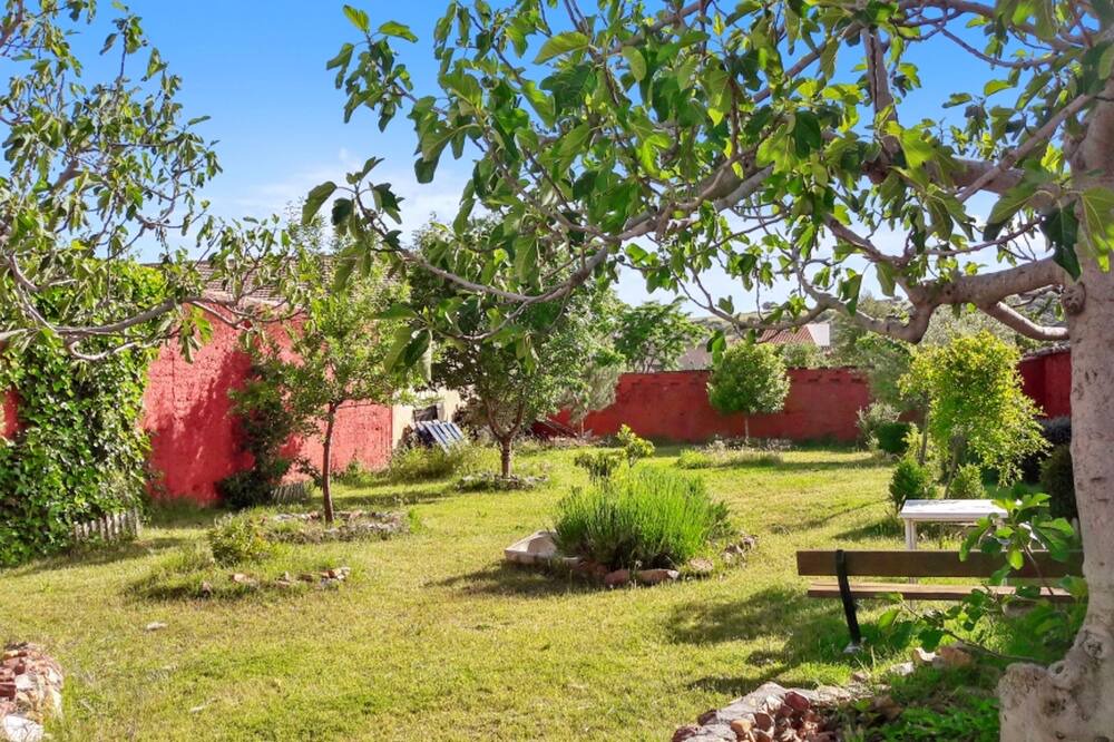 Photo of Outdoor in Picon