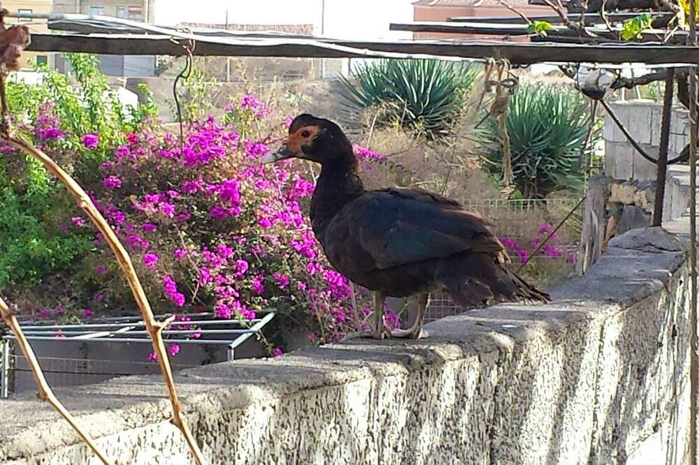 Photo of Outdoor in El Rincon