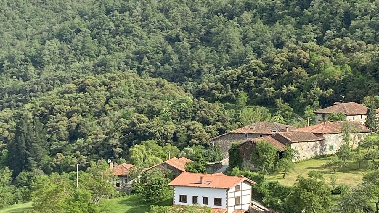 Photo of Outdoor in Basieda