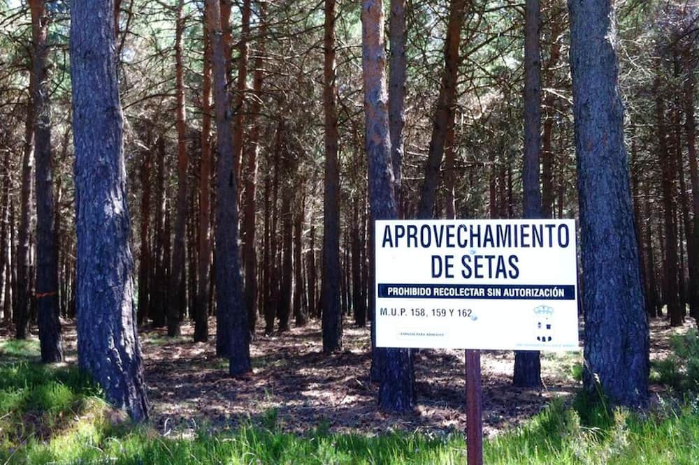 Photo of Others in Villasur de Herreros