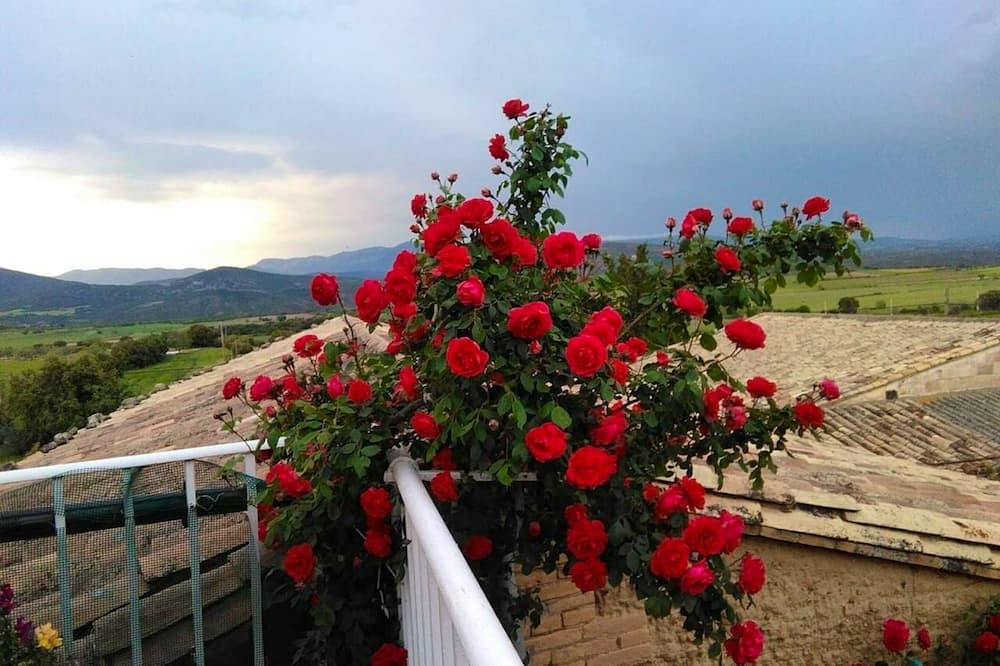 Photo of Outdoor in Sieso de Huesca
