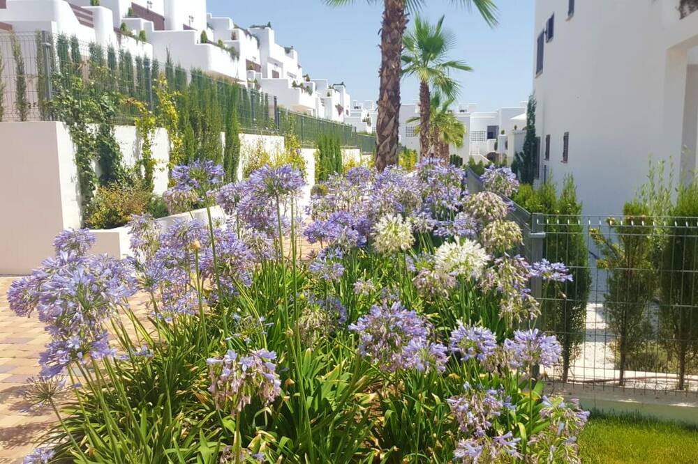 Photo of Outdoor in Mar de Pulpi
