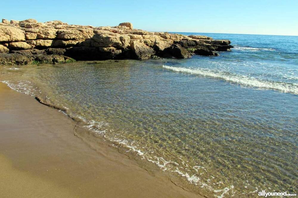 Photo of Others in Aguilas