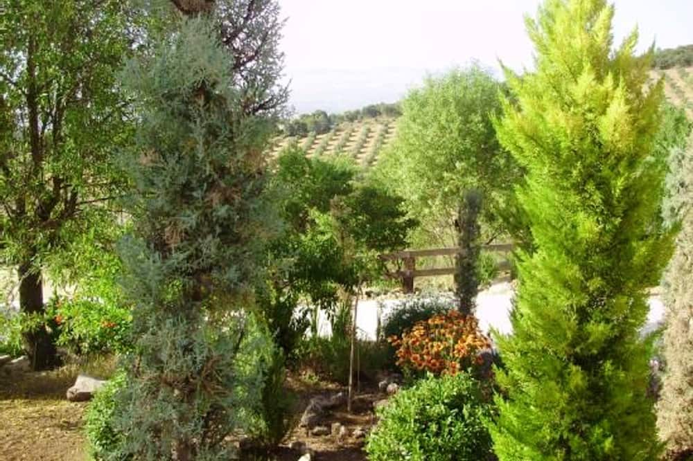 Photo of Outdoor in Illora